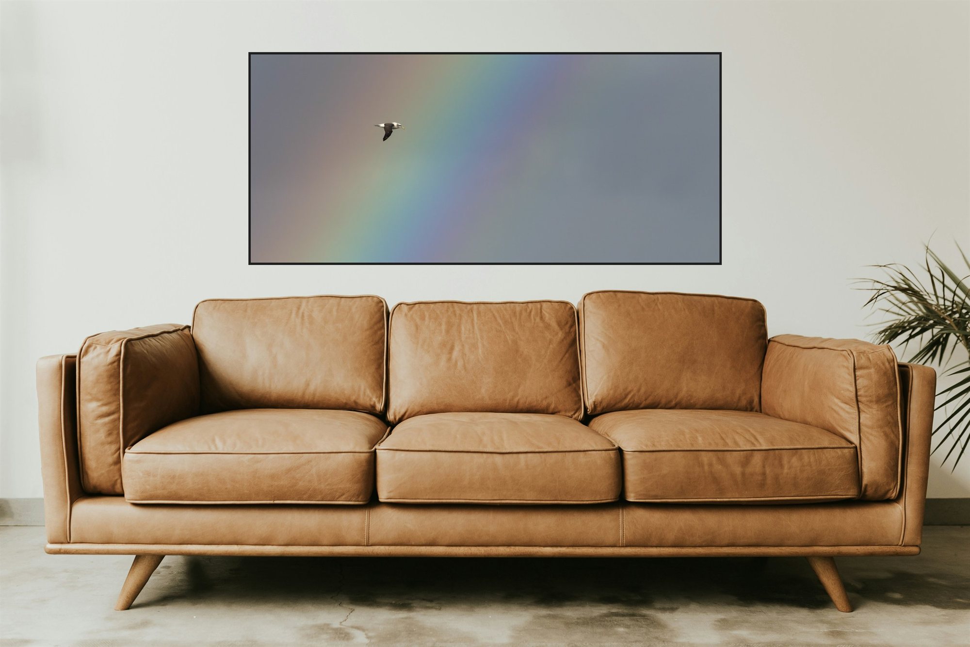 Rainbow Albatross limited-edition print