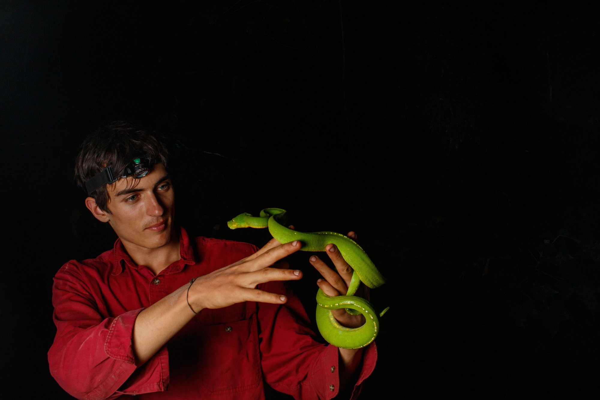 Murray Kelman holding a green python